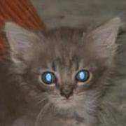 Profile Photo of Betty N Donnie Barnes