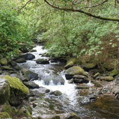 Profile Photo of Fred Robinson